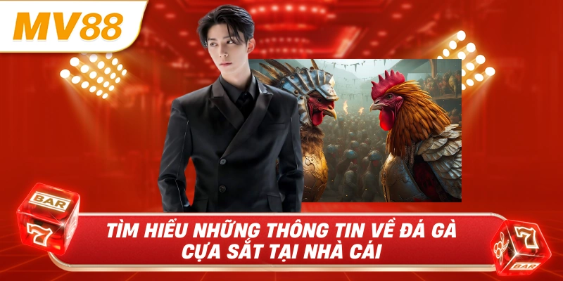 Tìm hiểu những thông tin về đá gà cựa sắt tại nhà cái 
